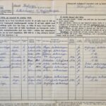 manntal-1952-daemi
